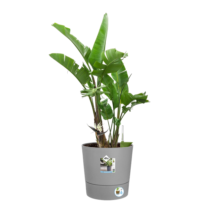 greensense aqua care rond 35cm licht beton